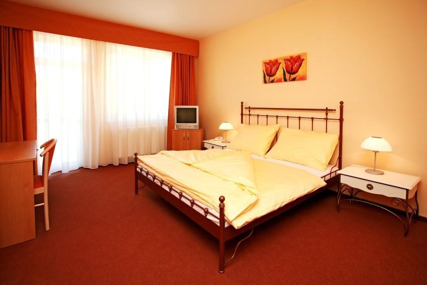 Sporthotel Patriot Литомержице Экстерьер фото